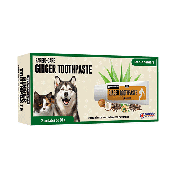 FARBIO CARE GINGER TOOTHPASTE