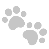 Bienestar