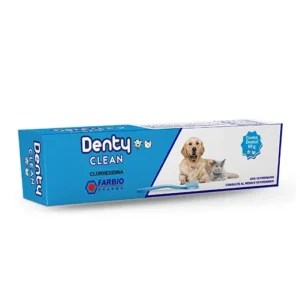 DENTY CLEAN