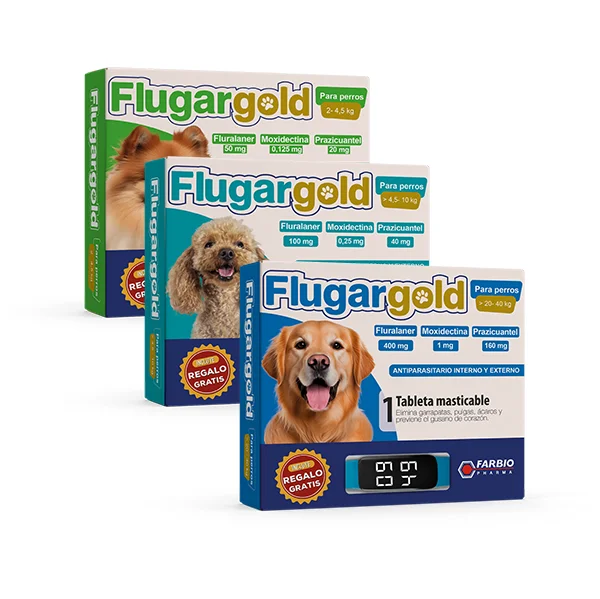 FLUGAR GOLD