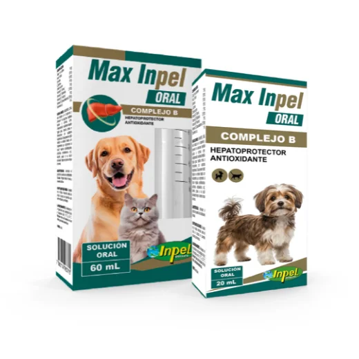 MAX INPEL ORAL
