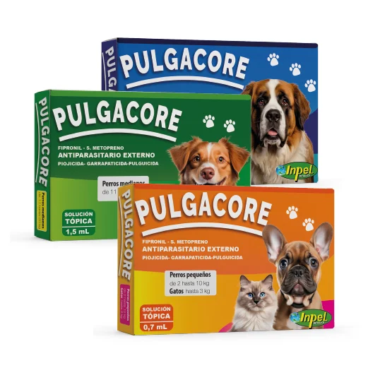 PULGACORE